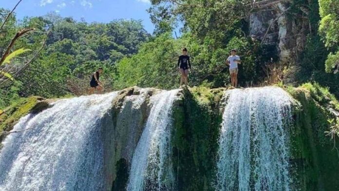 20230305 PAGEONE - Tanap-Avis falls