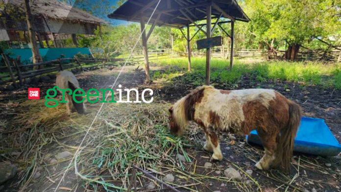 20230305 PAGEONE - Zoo_greeninc