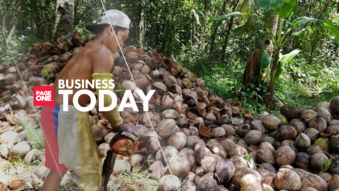 20230323 PAGEONE BUSINESS - Coco farmers