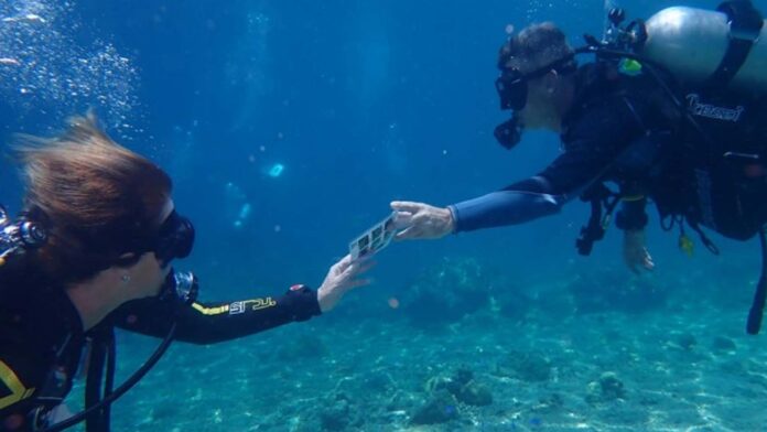 20230413 PAGEONE - Diver_