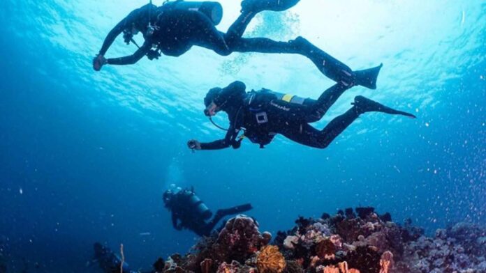 20230413 PAGEONE - Divers