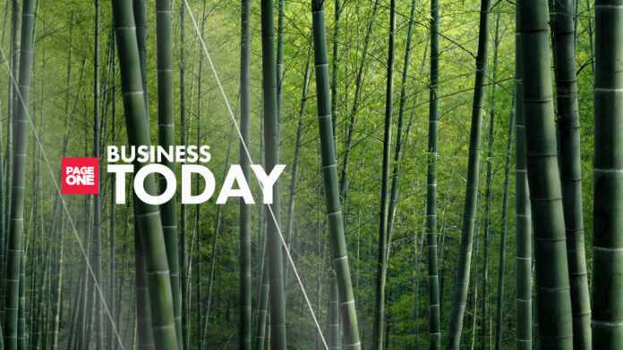 20230601-PAGEONE-BUSINESS-Bamboo