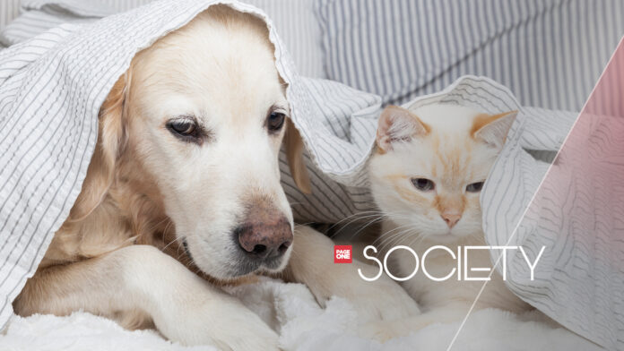 20230607-PAGEONE-Fur-Babies