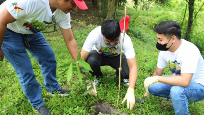 20230625-PAGEONE-Planting