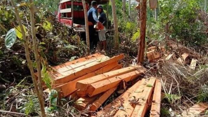 20230626-PAGEONE-Sumbong-App