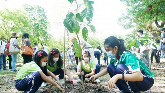20230829-PAGEONE-Tree-planting