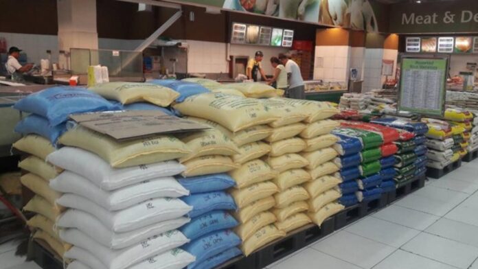 20230830-PAGEONE-Rice