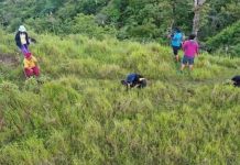 Antique Targets 2K Trees Planted In ‘Pista Kang Kagubatan’