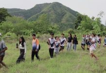 2.6K Native Trees Planted In Ilocos Norte On Arbor Day