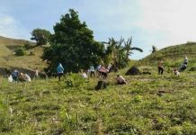 Over 10K Trees Planted In Iloilo Province To Mark Arbor Day